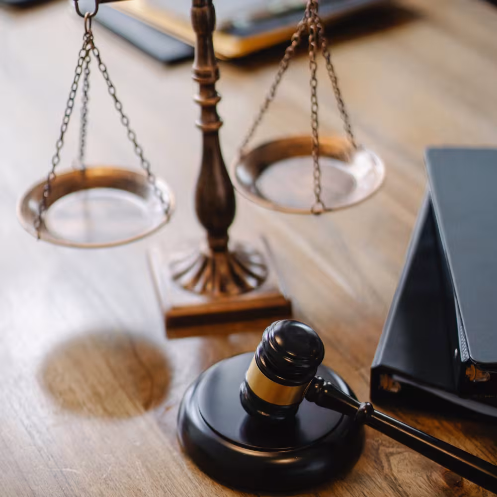 Pro Bono Service